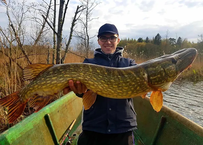 Mazurska Latarnia Na Prywatnej Plazy Tuz Przy Linii Brzegowej Pomost Stawy Gospodarstwo Pasieka Дом отдыха *