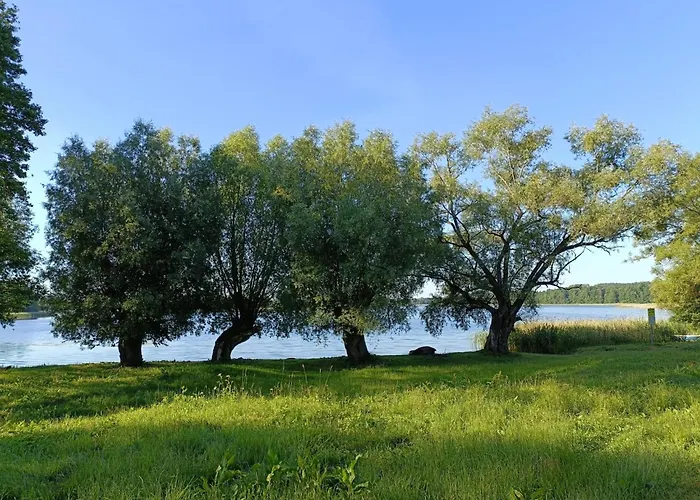 Дом отдыха Mazurska Latarnia Na Prywatnej Plazy Tuz Przy Linii Brzegowej Pomost Stawy Gospodarstwo Pasieka *